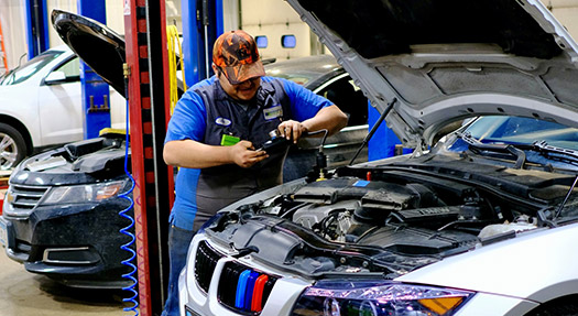 Honest-1 Owatonna Shop Team